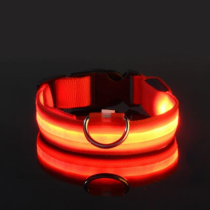 Petlight™  - Collar luminoso led para mascotas
