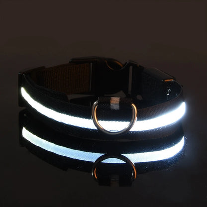 Petlight™  - Collar luminoso led para mascotas