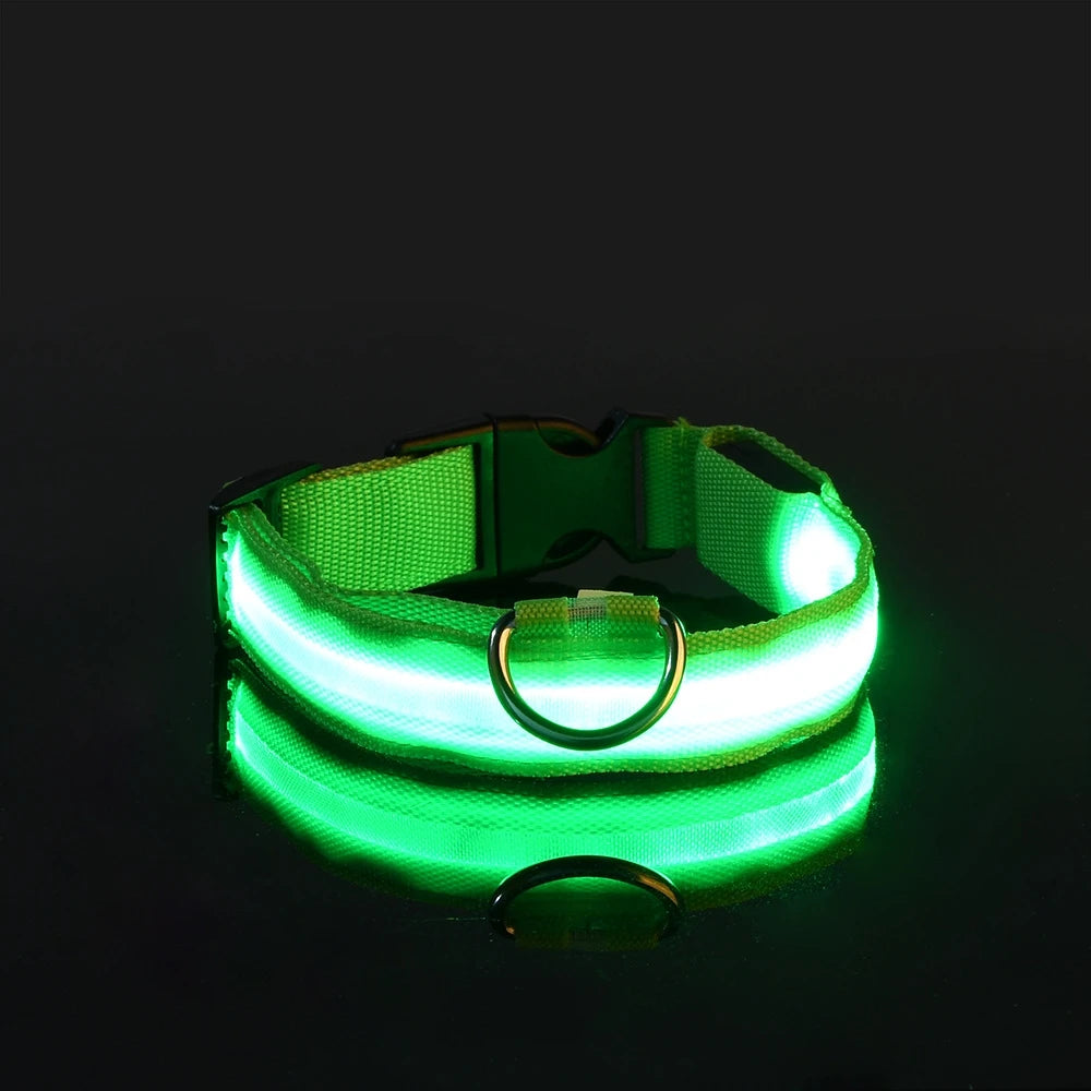 Petlight™  - Collar luminoso led para mascotas