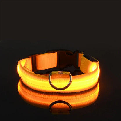 Petlight™  - Collar luminoso led para mascotas