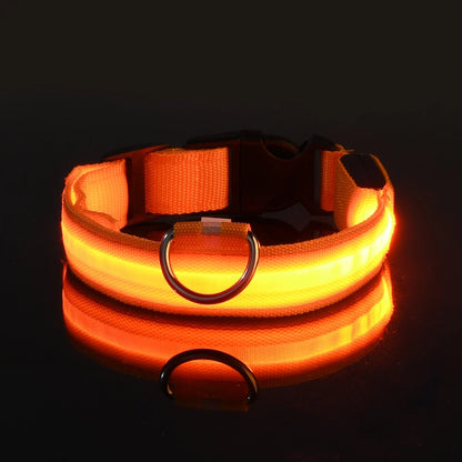 Petlight™  - Collar luminoso led para mascotas