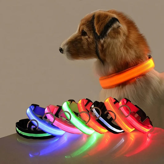 Petlight™  - Collar luminoso led para mascotas