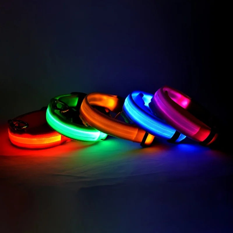 Petlight™  - Collar luminoso led para mascotas