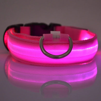 Petlight™  - Collar luminoso led para mascotas