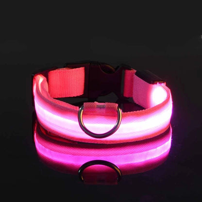 Petlight™  - Collar luminoso led para mascotas